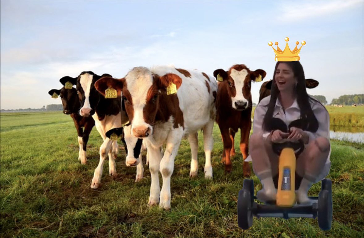 La GANADERA de ot jajajaj  #OT2023