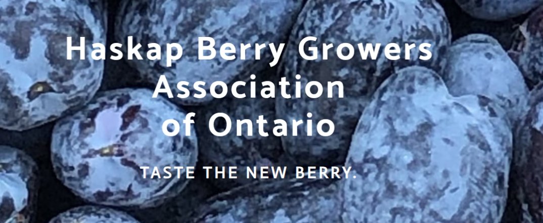 ATTENTION ALL #HBGAOmembers
Tonight is the virtual #AGMmeeting and very important for members to attend as your input is important for the future of #HBGAO
Not yet a member, check out the members section on the webpage: haskapberrygrowers.com/membership.html
#haskapontario #HBGAOagm