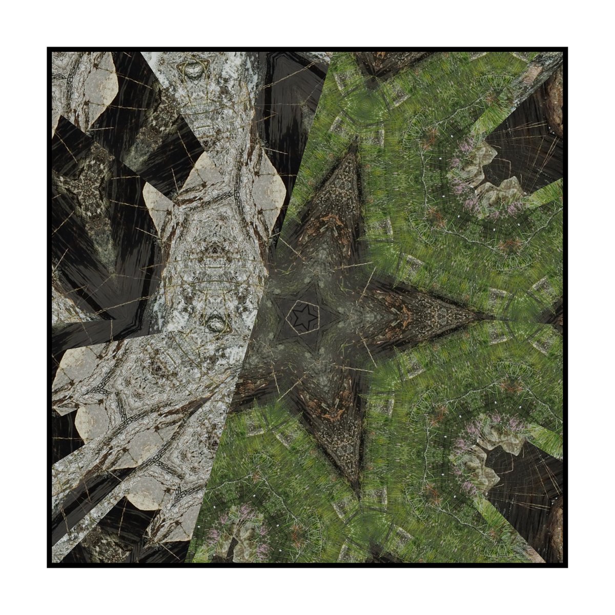 stdio_pike's tweet photo. AustAgder Tree Cut
#austagder #tree #kaleidoscope #cgi #creativecode #blender https://t.co/z5wdUAK5j6
