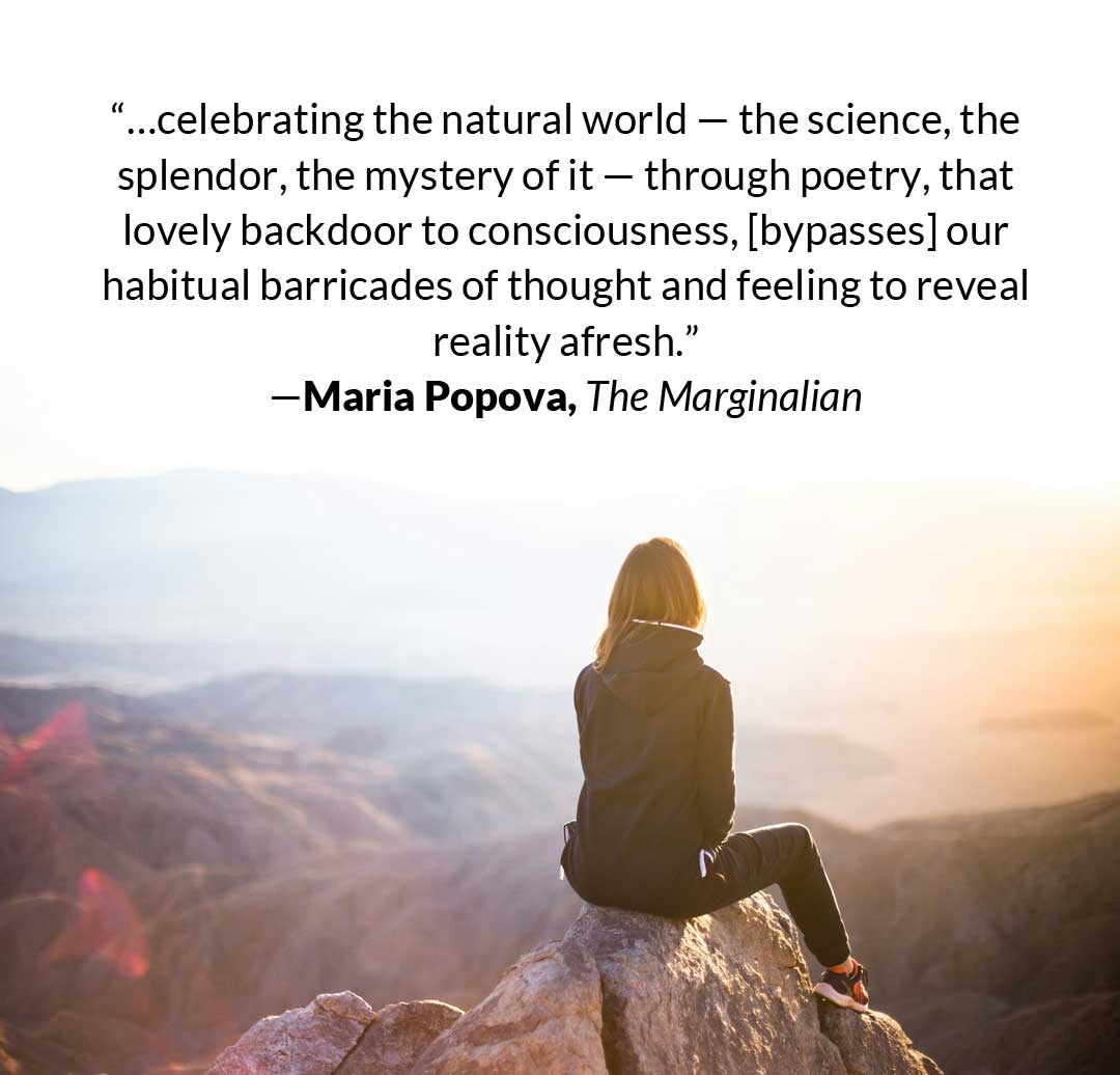 Spread the word: March 1-my newest Living Room Craft Talks begin! I'll start with a talk on science and poetry, and will be joined by Maria Popova (@brainpicker), writer & creator of The Marginalian (@brainpickings). To learn more: ellenbass.com/events/living-… #poetrylovers