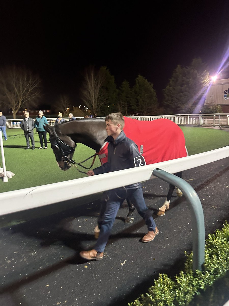 Crazyg07231486's tweet photo. Bossy Parker @BetMGM @LancsRacing @CallumSheppy @WolvesRaces 

WINNER 🥇🐎 https://t.co/Nul5bE34Bx