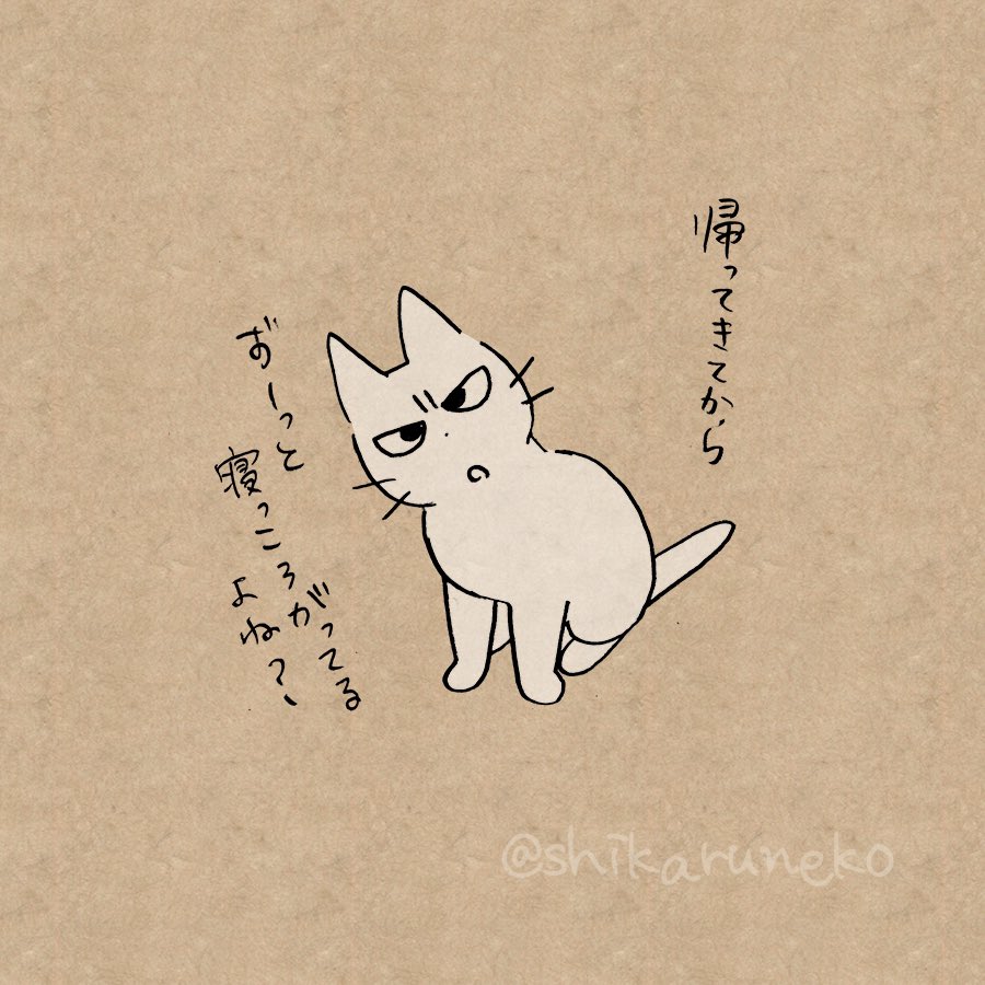 shikaruneko's tweet photo. 一度横になるとなかなか起き上がらない人を叱ってくれる猫 https://t.co/bDpRTH8WVL