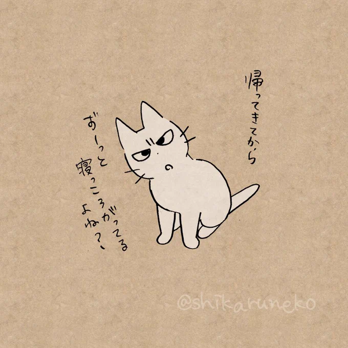 一度横になるとなかなか起き上がらない人を叱ってくれる猫 