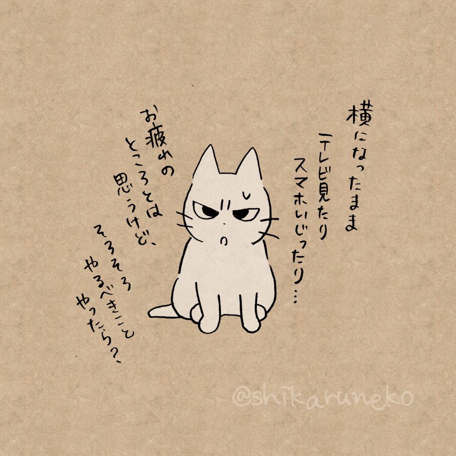 shikaruneko's tweet photo. 一度横になるとなかなか起き上がらない人を叱ってくれる猫 https://t.co/bDpRTH8WVL