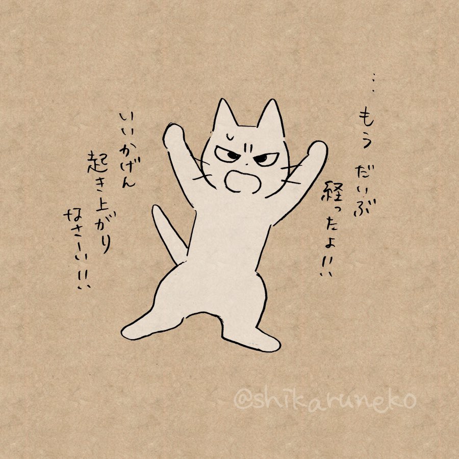 shikaruneko's tweet photo. 一度横になるとなかなか起き上がらない人を叱ってくれる猫 https://t.co/bDpRTH8WVL
