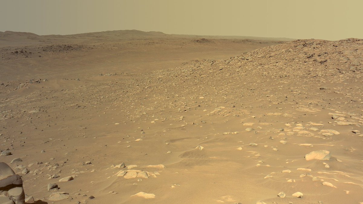 The surface of Mars, earlier today.