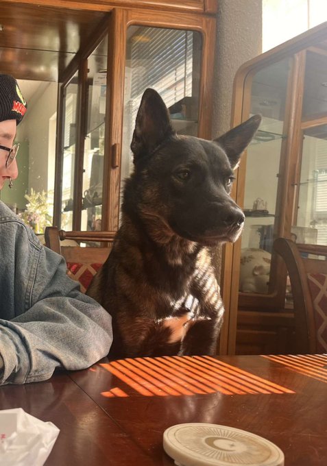 pretty boy sitting in a chair :3 https://t.co/TFcnfNIBBm