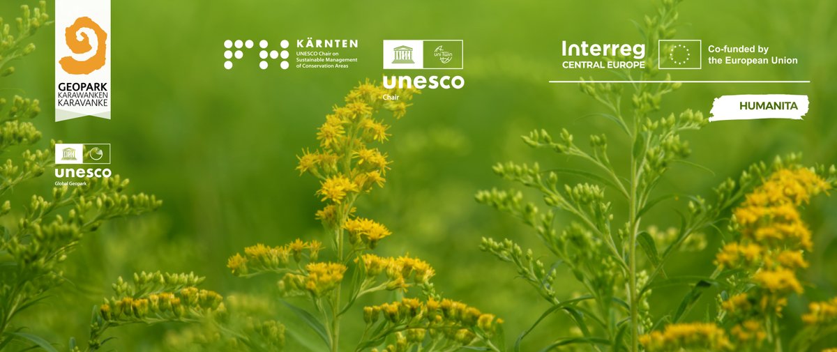 VisitGeopark's tweet photo. Detecting and registering Invasive alien species in our region!
Take a photo, click on the project, and join:
https://t.co/M0CQkru1rh

#HUMANITAproject
#visitgeoparkkarawanken #InterregCentralEurope #natureconservation
📷@UroshGrabner https://t.co/SHZ5LNHNGH