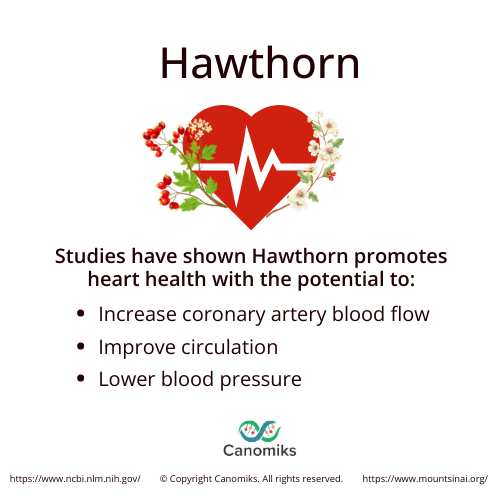 February is American Heart Month, aimed to raise awareness for the leading cause of death globally, cardiovascular diseases. Our #botanical of the month, #hawthorn, is known for possessing cardiovascular protective properties and aiding with #hearthealth.