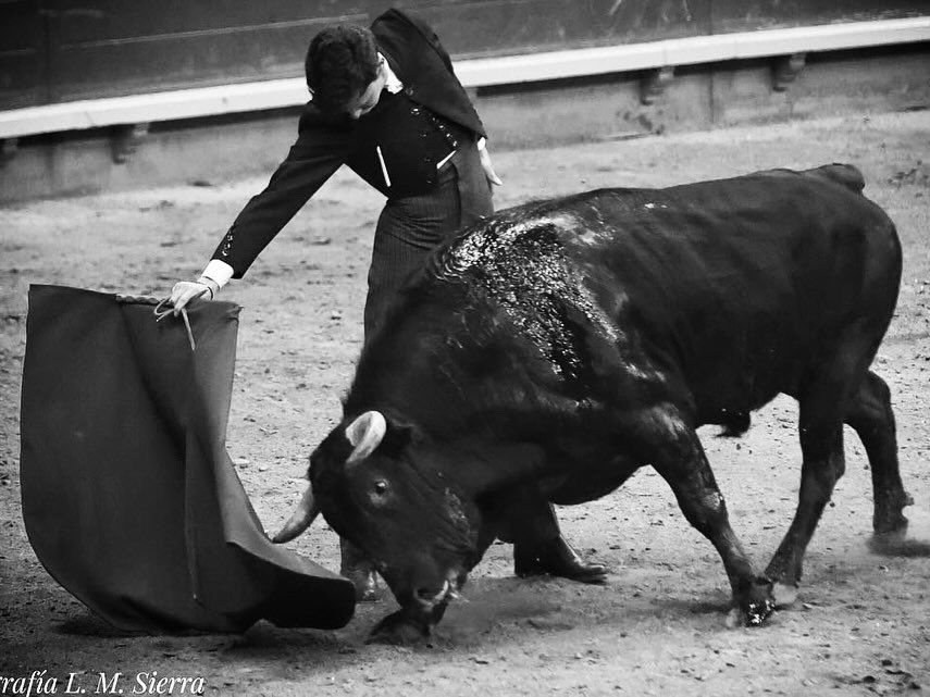 Fabio Jimenez (@fabio_jimenez_) on Twitter photo 📸; Alfredo Arévalo, Luis Miguel Sierra. 📸; Alfredo Arévalo, Luis Miguel Sierra.