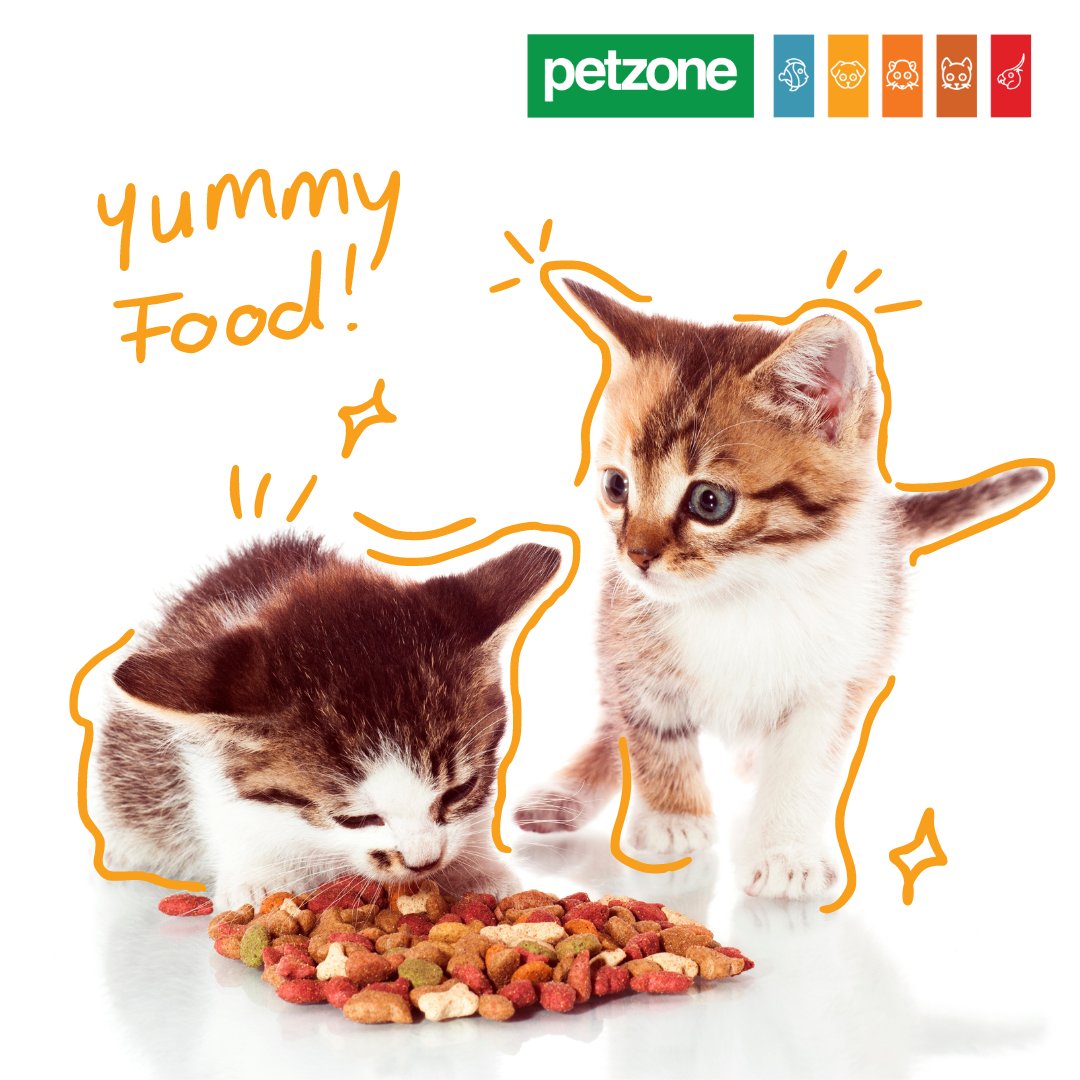 petzonestores's tweet photo. Royal Canin FHN Mother and Baby Cat โ Tiny bites, big benefits! Immune system support, easy weaning, digestive health, and enriched with DHA for your growing kittens. ๐ ๐
Give your kitties the best start! https://t.co/BtweHgllrh
#petzone #kitty #cats #catfood https://t.co/HGwMw3cERj