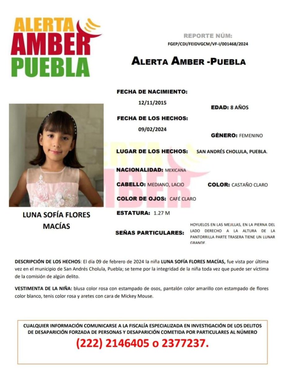 carlosmartinh's tweet photo. 🔎 #ServicioSocial | Luna Sofía, de 8 años de edad, fue vista por última vez en San Andrés Cholula #Puebla, por lo que está activa la Alerta Amber https://t.co/IgNQusYcXu
