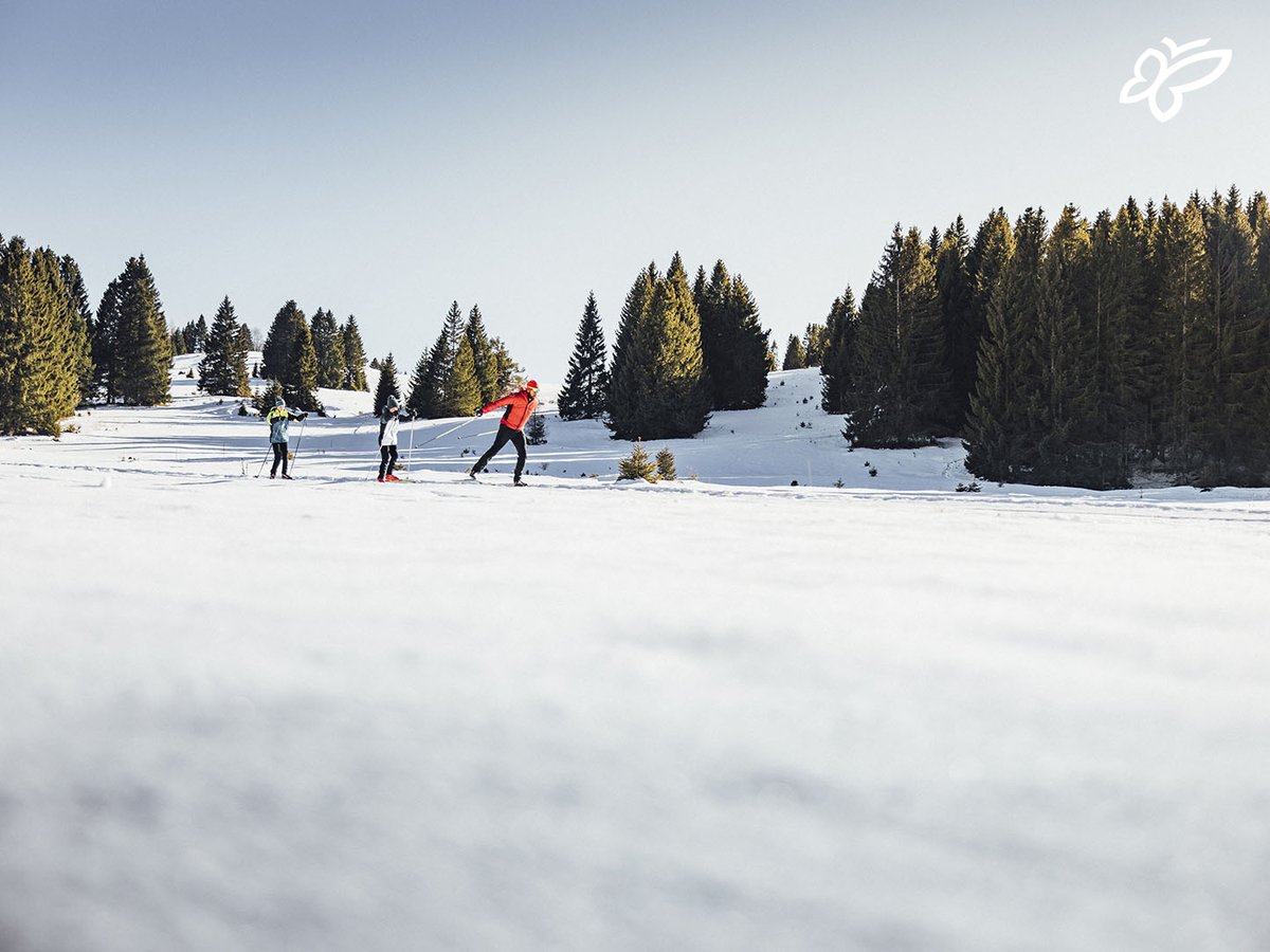 #SuperNordicSkipass ❄️ This is where you can experience nordic skiing in its purest form! 🤩 👉 14 cross-country centers 👉 1000 km of slopes 👉 Only one ski pass! [📍 @AlpeCimbra |📷 D. Molineris] #visittrentino #trentinowow