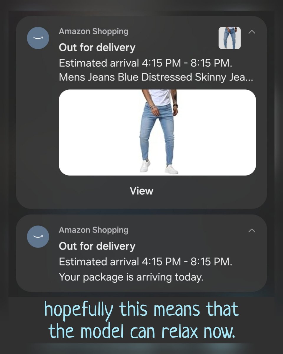 QriousQrmudgeon's tweet image. #AmazonIssues
#PurchaseOnPurchase
#Flyswatter
#PrimeThePump