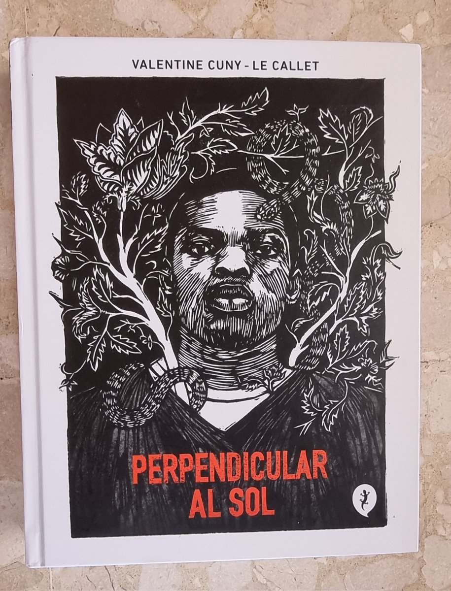 Desgarradora actualización del género epistolar mediante la correspondencia mantenida entre la autora y Renaldo McGirth, preso en el  corredor de la muerte. La traslación de la amistad a misivas dibuja una cruda reflexión en torno a la pena de muerte, el racismo y la desigualdad