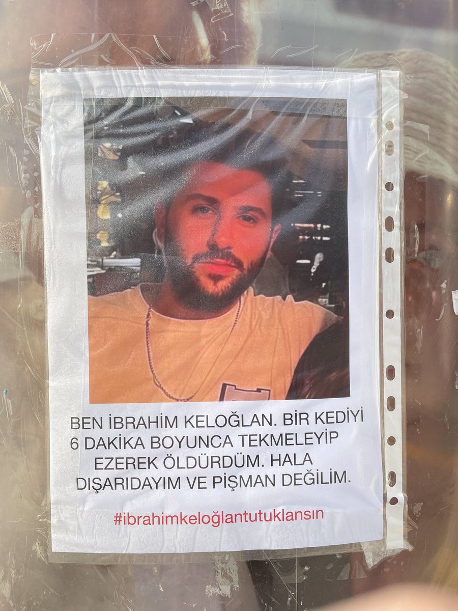 Dağ, taş duydu sesimizi. 
Yollar, ağaçlar, bulutlar, yıldızlar duydu. 
Yerdeki karınca, gökteki kuş, tüm canlılar duydu.
Yedi düvel hatta sağır sultan bile duydu. 
Yetkililer hala duymadı. 
#ErosIcinAdalet
#ibrahimkeloğlantutuklansin