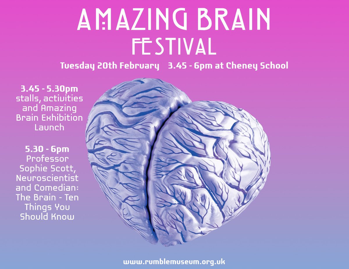 RumbleMuseum's tweet photo. Our Amazing Brain Festival is TOMORROW! 3.45 - 6pm. A range of brain-themed stalls and activities, an animatronic T-Rex, Brain Exhibition by @NDCNOxford, refreshments - and talk by neuroscientist @sophiescott! All ages welcome. https://t.co/XCO3eOcUuo https://t.co/rxQJHHEP8p