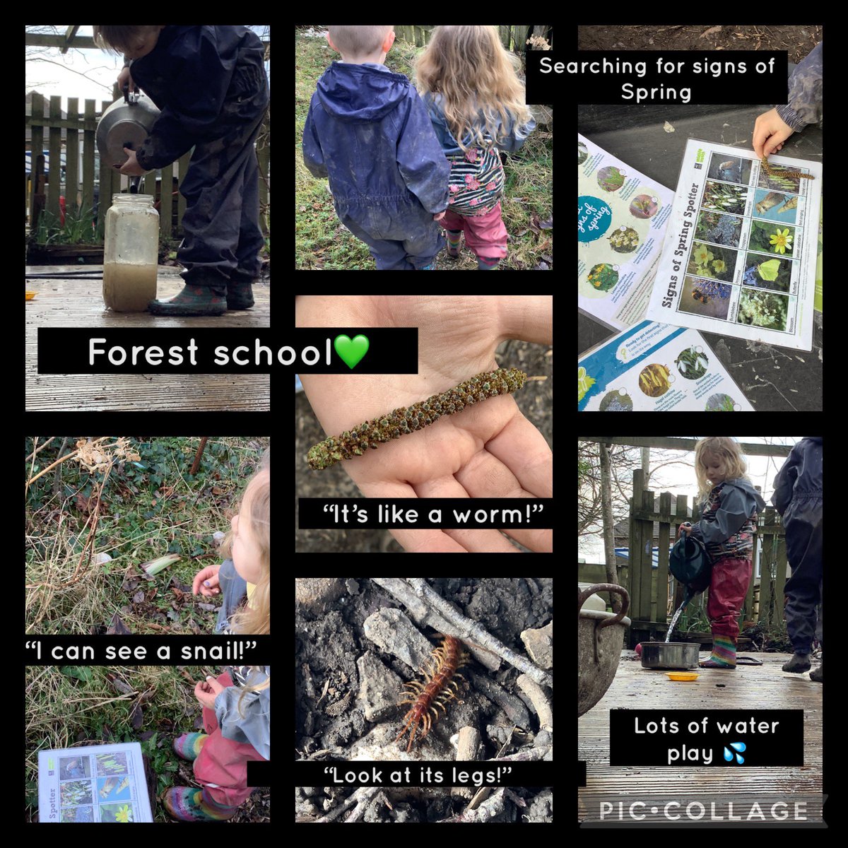 It was great to be back at forest school this afternoon💚Dosbarth🦊 noticed a few signs of Spring💚🌳 It’s so important for children to get outside,experience the changing seasons and the interconnectedness of all living things💚🌳 #OL #seizetheseason