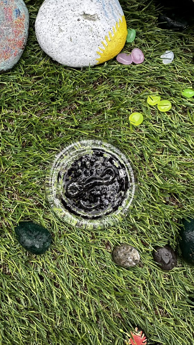 FeatherJ11's tweet photo. Omg!!!! I can’t believe it !! One last place to look. 🩷 I’m so grateful! Thank you .. #monkeyshines2024 https://t.co/mF6Ga2fdoy