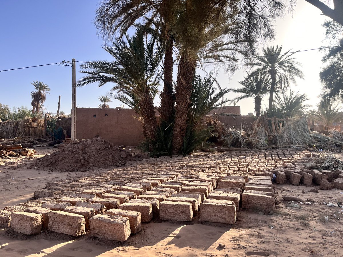 Construyendo Tarteso (@ctarteso) on Twitter photo Ayer concluimos la primera campaña del proyecto PIAR concedido por <a href="/ArchHubCSIC/">ArchaeologyHub CSIC</a> junto a <a href="/Terrachidia_ONG/">Terrachidia</a>
Hemos tenido la oportunidad de acercarnos a contextos extraordinarios que hoy nos permiten ver y entender la arquitectura de tierra de otro modo 🧱 Ayer concluimos la primera campaña del proyecto PIAR concedido por <a href="/ArchHubCSIC/">ArchaeologyHub CSIC</a> junto a <a href="/Terrachidia_ONG/">Terrachidia</a>
Hemos tenido la oportunidad de acercarnos a contextos extraordinarios que hoy nos permiten ver y entender la arquitectura de tierra de otro modo 🧱