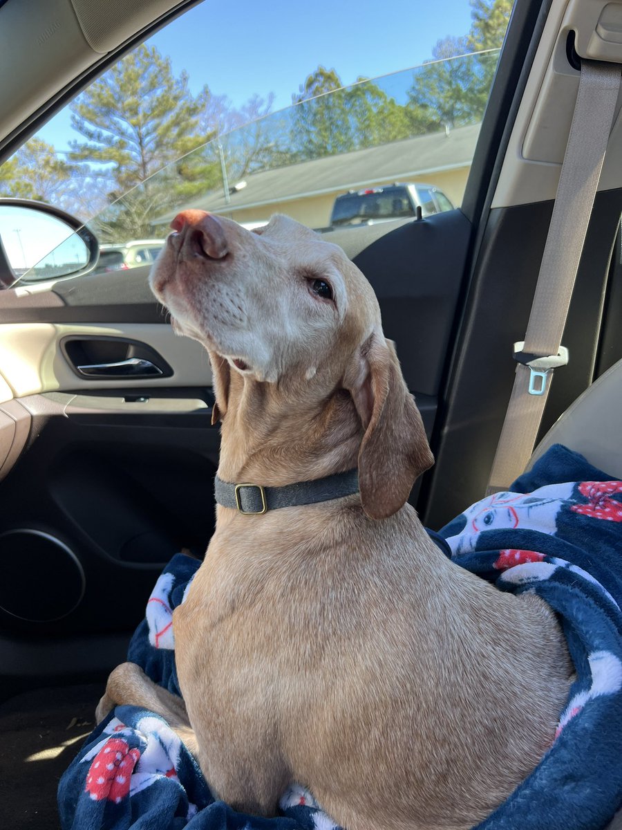 Pasta 🍝 tweet media