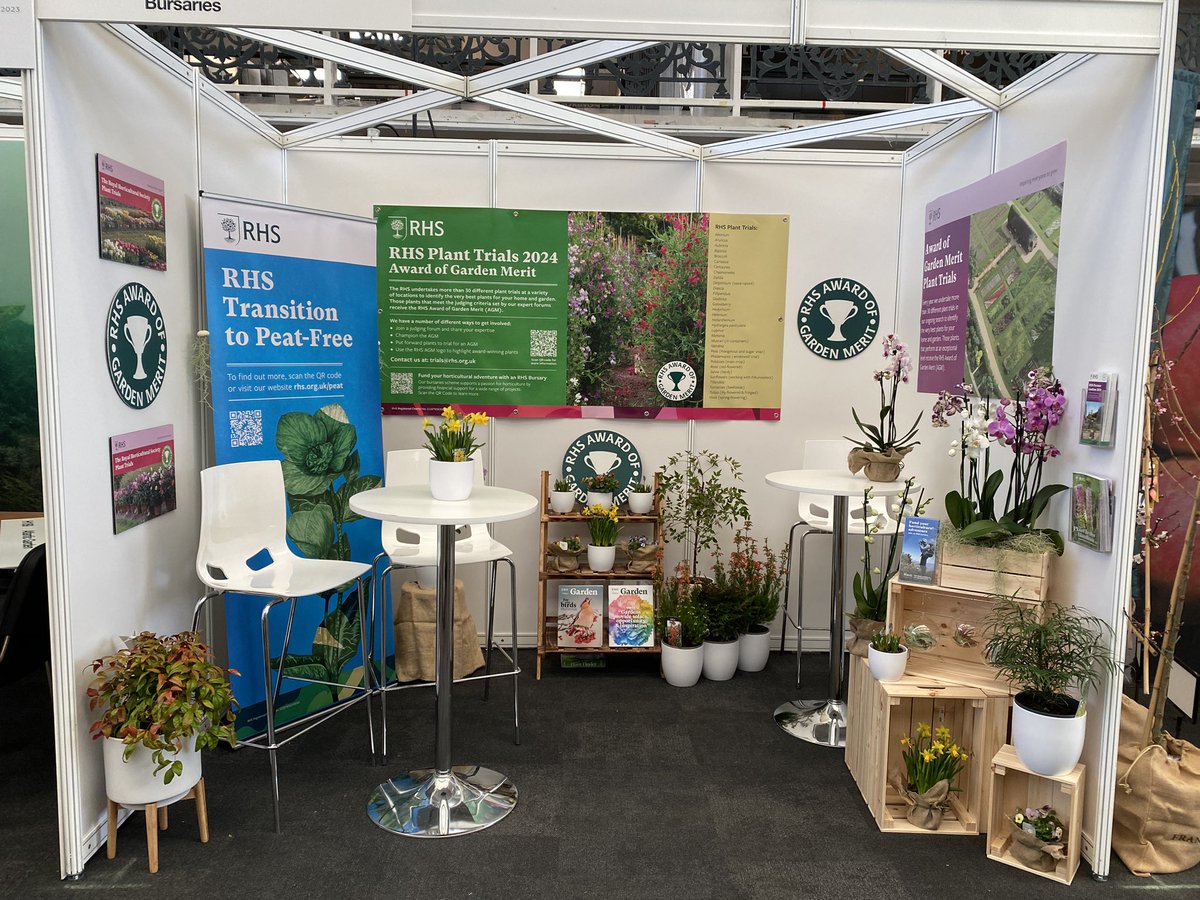 Emma Allen tweet media