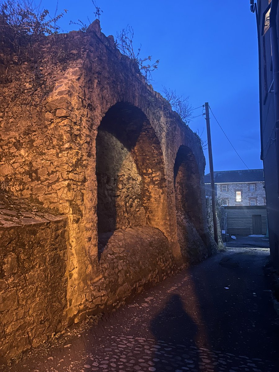 Day 50/1251: Drogheda’s Featherbed Lane 😊 #Drogheda #100daysofwalking
