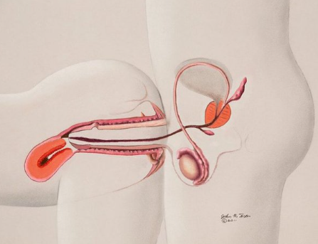 Meercen 🐐 (@icedoutpedrrr) on Twitter photo 