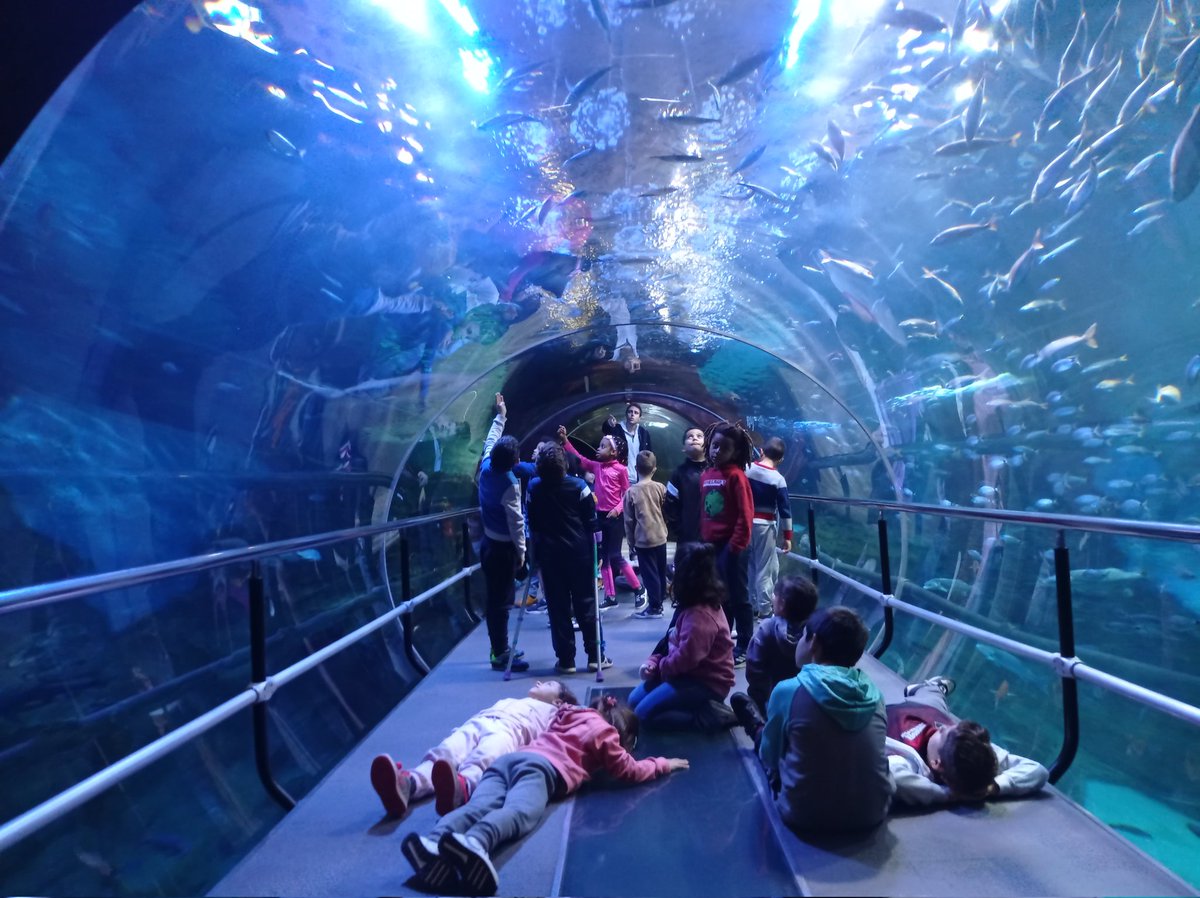 Aurreko ostiralean 2.mailakoak Donostiako Aquariumean egon ziren.
#koldomitxelenaikastetxea #errenteria #aquarium