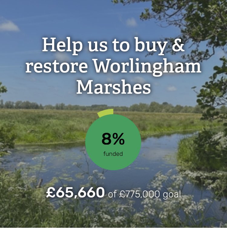 6 days of the appeal complete and look at how much support has happened so far. Obviously a long way to go but it’s so good to have such support. @HeritageFundUK @HeritageFundM_E @WildlifeTrusts @TNLUK @BBCLookEast @itvanglia @lowjournal @BBJournal24 @BroadsNP @BBCCountryfile