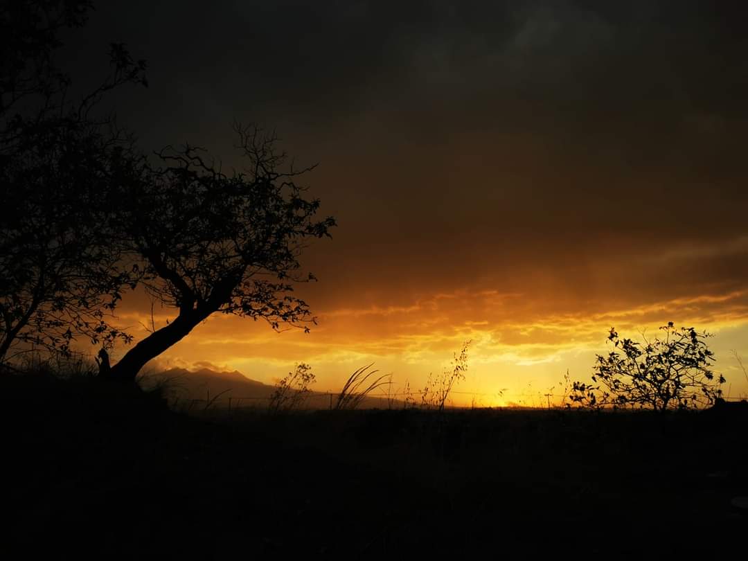 ojitosmp's tweet photo. @alanxelmundo Así son los atardeceres en mi pueblo https://t.co/BaIA7UQ5CT