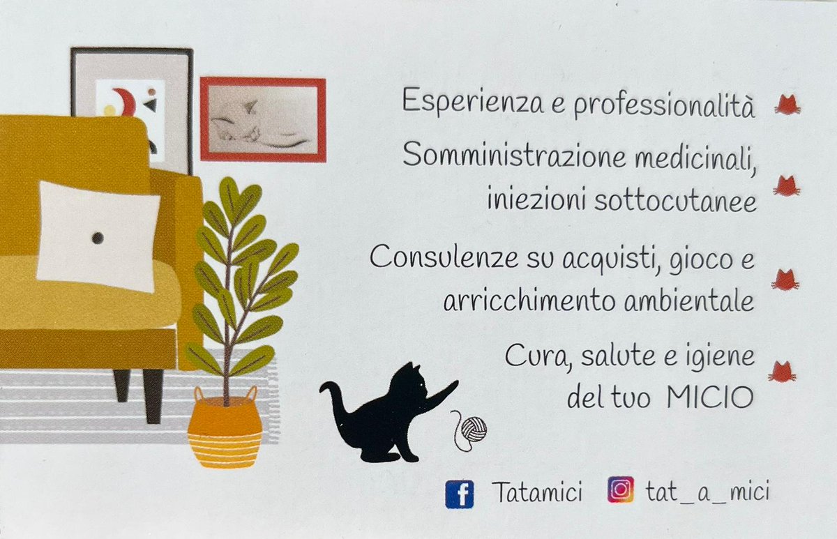 Federico_986's tweet photo. Nuovo servizio di cat sitting a San Costanzo (PU). Passione, dedizione e professionalità garantite! ❤️ https://t.co/aQoaVFuAJf