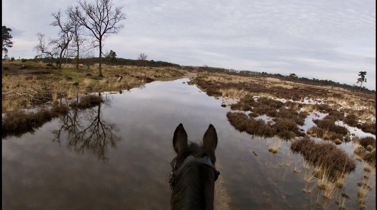 🤍 Mel 🤍 tweet media