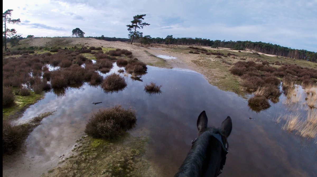 🤍 Mel 🤍 tweet media