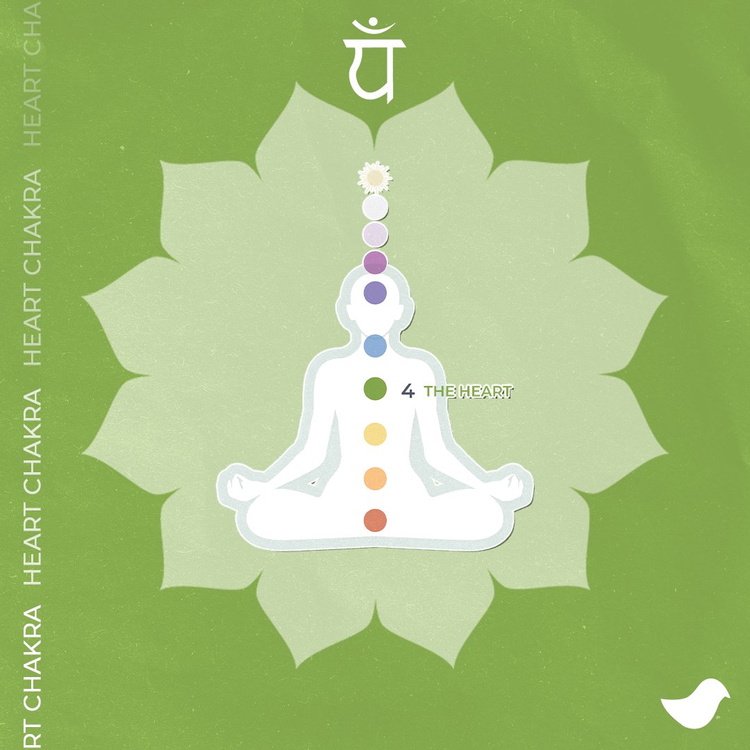 kendra_goheen's tweet photo. Our @poblifestyle x KG collaborative #Chakra Series is underway, and we're kicking it off with the #HeartChakra. 💚 Situated in the center of your chest, the 4th chakra is a hub of emotions – love, fear, and joy.   

#hearthealth #wellness #lifecoaching #pursuitofbalance #balance https://t.co/exQemibmqd