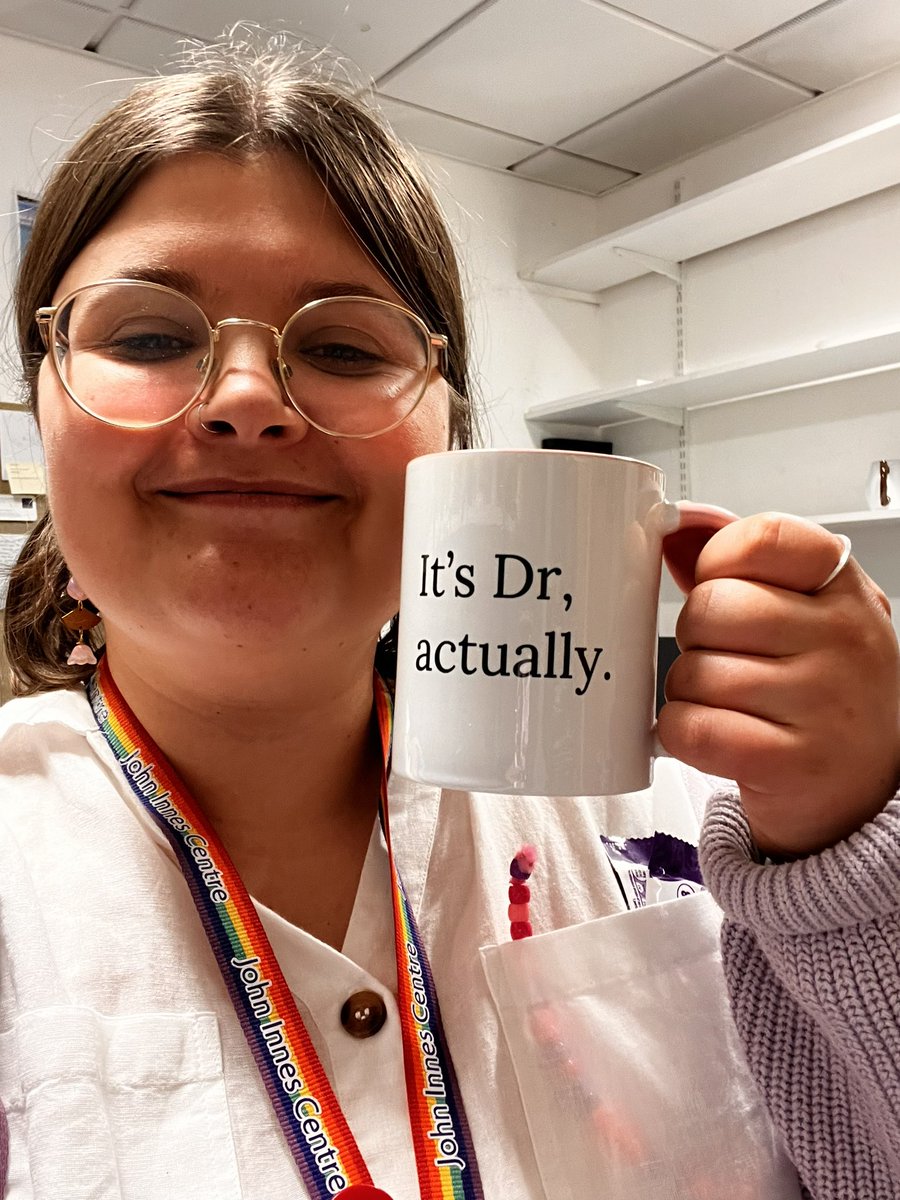 Kathy Stratton tweet media