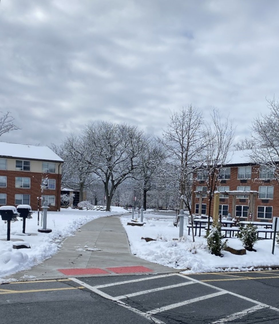 nickwit_14's tweet photo. Our campus may be beautiful under the sun, but what happens when it turns into a Winder Wonderland?! ❄️☃️🌨️

These pictures cover some hot spots of our gorgeous 280-acre campus! 🗺️🐎

Take a virtual tour today! https://t.co/NABjJeFDlM

#GoBroncs #RiderUniversity https://t.co/fv0RjYEg7b