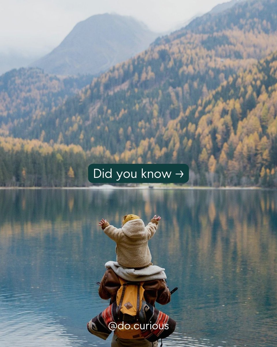 curious_do27's tweet image. Our hope is to make is easy and accessible for you to be able to find fun things to do with your friends or family. ⁠
⁠
There is so much more to life than what you see on your phone. It's all about balance and we're all about making that balance easier for you to achieve. 💙⁠