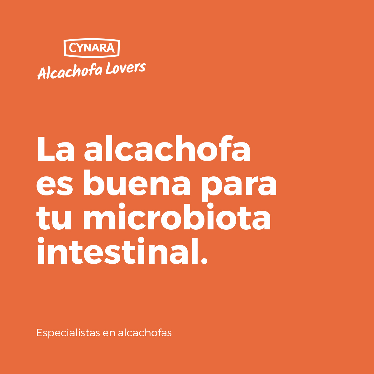 La alcachofa es buena para tu microbiota intestinal 💚
