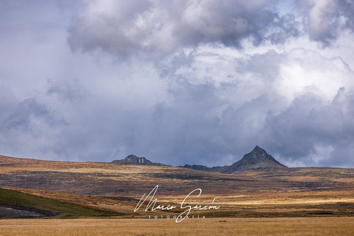 marcogarzongaia's tweet photo. Check out new work on my @Behance profile: "Reserva Ecológica Antisana (PART I)" https://t.co/VJak7f1rwL https://t.co/F5AQiqSzhc