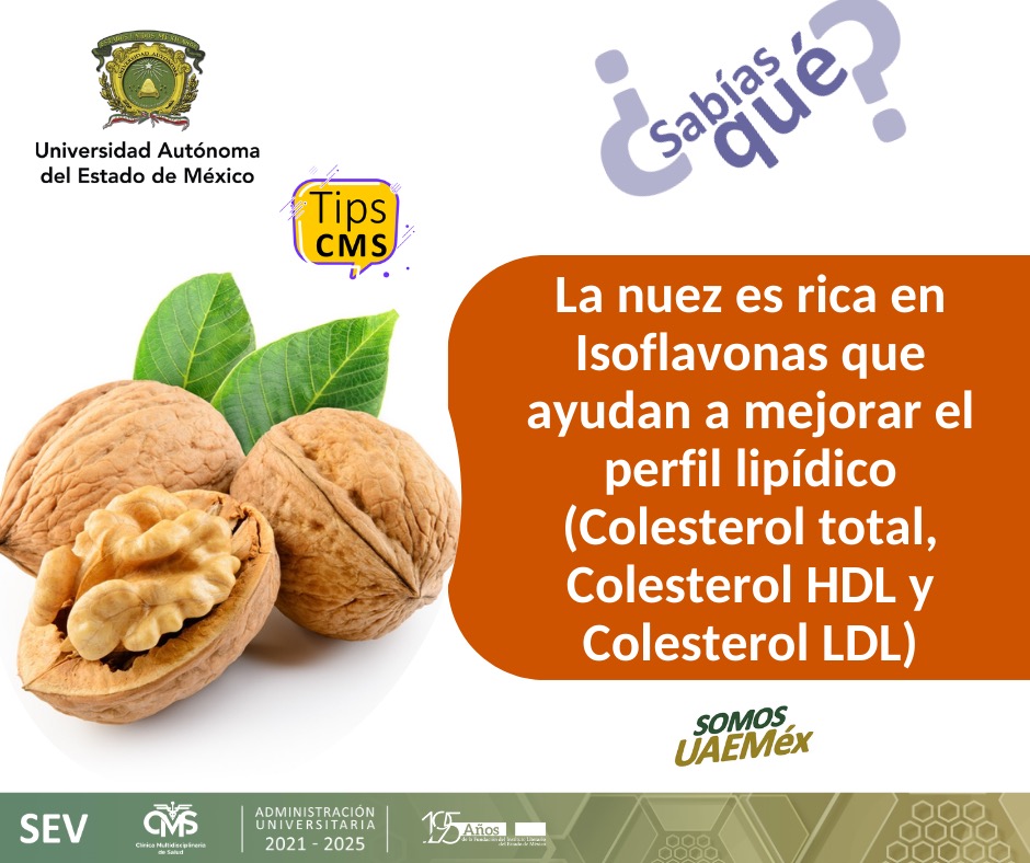 CMSUAEMex's tweet photo. Comer nueces, ayuda a nuestra salud.
#TipsCMS
#SomosCMSUAEMéx
#SomosUAEMéx https://t.co/UIogm3EXTO