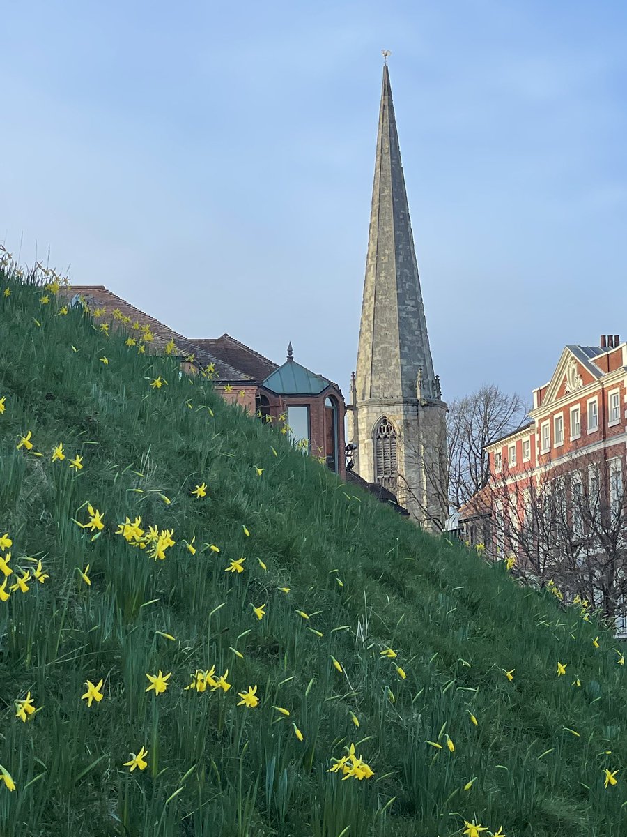 Nipped out to do the work banking and go check out the daffodils under Clifford’s Tower <a href="/Hudsonweather/">Paul Hudson</a>