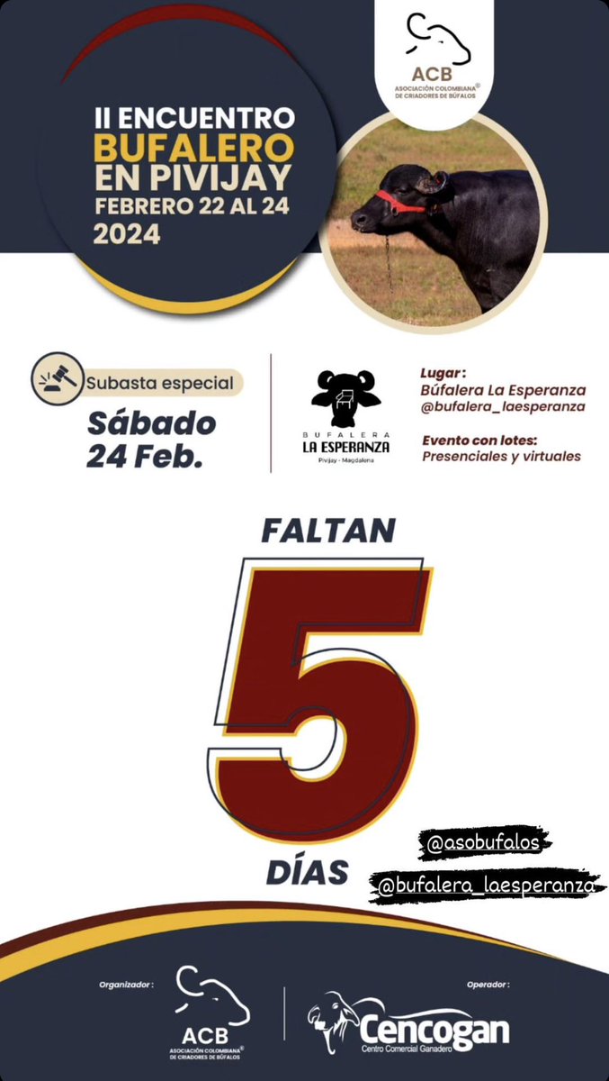 Asobufalos (@asobufalos) on Twitter photo 