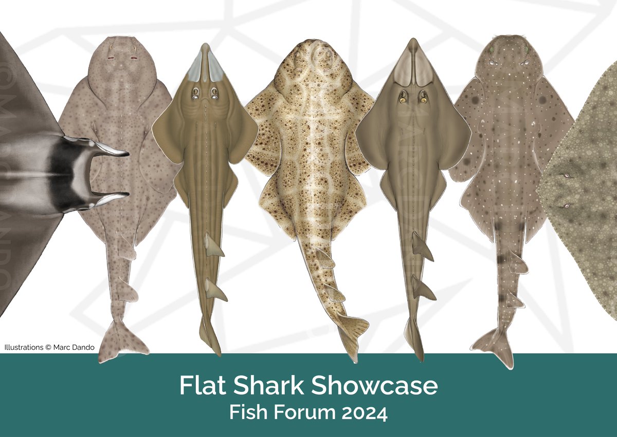 The Shark Trust tweet media