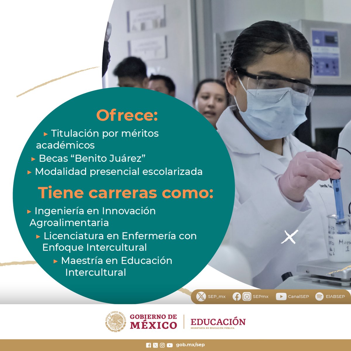 SEP_mx's tweet photo. La Universidad Intercultural de Baja California #UIBC ofrece un espacio de equidad y diversidad cultural para las y los habitantes de dicha entidad. 🏫🤩
🖥️ Te invitamos a conocer más sobre su oferta educativa en: https://t.co/ker3aIohIG https://t.co/qdXjiNcHEZ