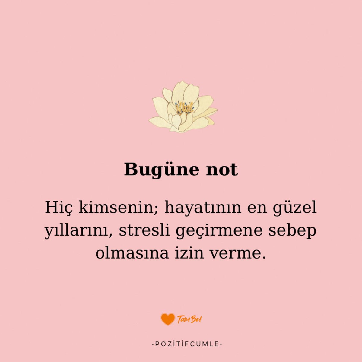 POZİTİF CÜMLELER (@pozitifcumle) on Twitter photo 