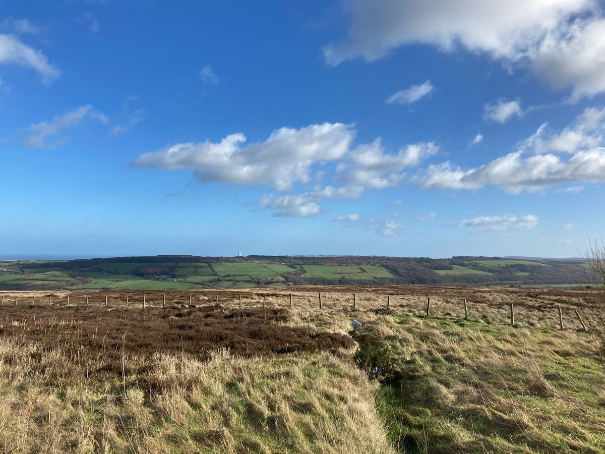 Health_Stars's tweet image. Monday road trip for Health Stars today. Can you guess where we went? 

Site meeting to discuss the memorial bricks 🧱 installation in the dementia garden at the hospital 🏥

#fundraising