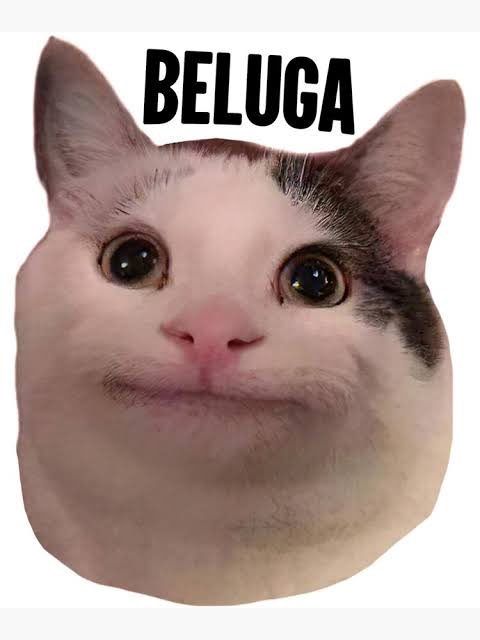 leventiscrypto's tweet image. Introducing the craziest cat on Algorand. 
$BELUGA CAT 🐱 
A meme token with a lot more craziness to bring more fun to Algorand and more people to Algorand. 
Asset ID: 1565147804
Follow
Like & RT
Tag 2 friends
Comment $Algo address
#algofam
