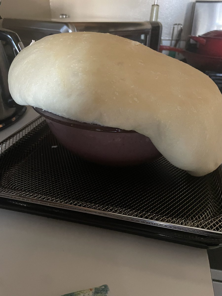 PhillyDana's tweet image. lol look at my over Puffed bread! 🍞 Omg I laughed so hard when I saw 👀 this! 
Hopefully it still makes a great loaf of #sourdough sandwich 🥪 bread! 
#Breadmaker #kitchen #Baker