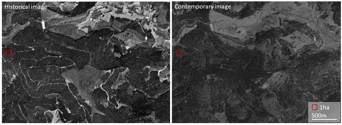 More than 1 million high-resolution spy #satellite images (Argon, Corona, Gambit, Hexagon), almost global coverage, available – but are so far rarely used in ecology and conservation.
